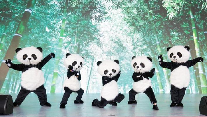 国宝熊猫 竹韵清香