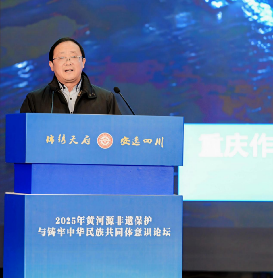 重庆市非物质文化遗产保护协会会长谭小兵作主旨演讲