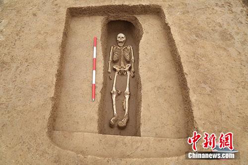 陕西高陵杨官寨遗址中，带二层台竖穴土坑墓M388。供图