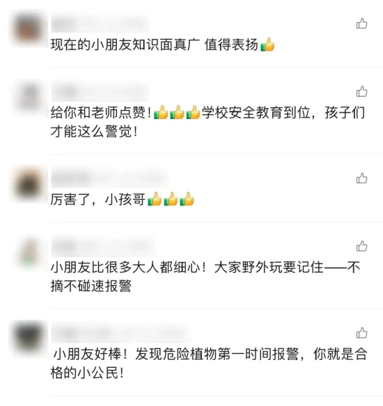 网友纷纷“点赞”