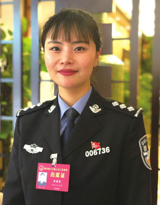 省人大代表陈德智