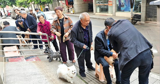 图为：兴盛社区犬只狂犬病疫苗接种现场