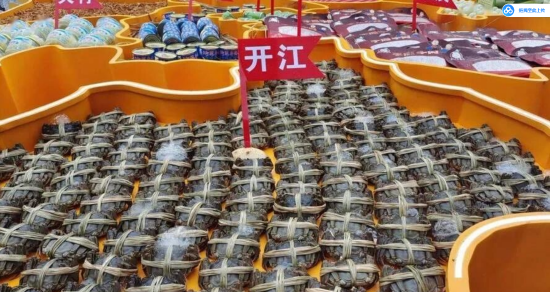 开江大闸蟹