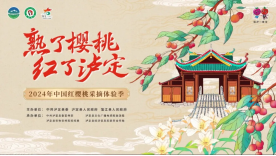 2024年中国红樱桃采摘体验季（泸定县文化广电旅游局 供图）