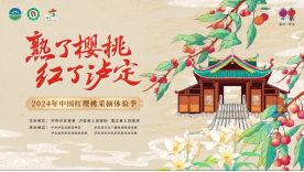 2024年中国红樱桃采摘体验季(泸定县文化广电旅游局 供图)