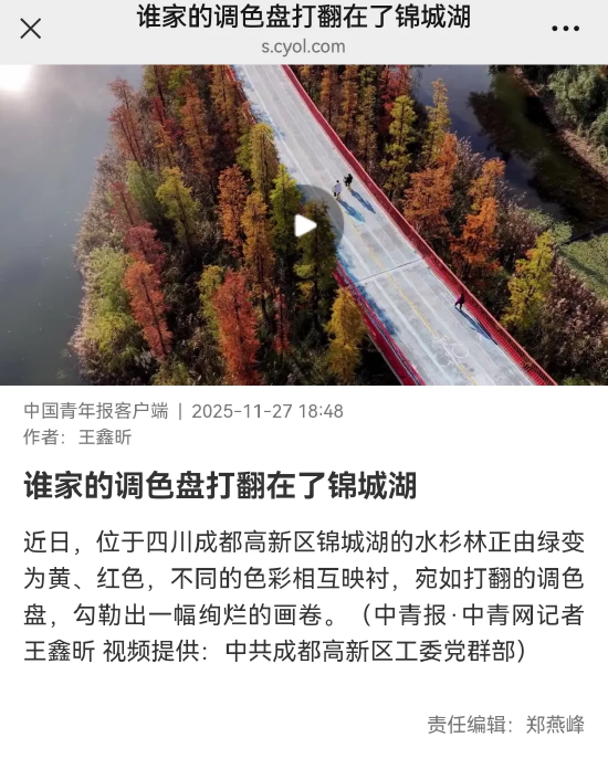 中国青年报客户端