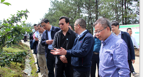 全国工商联来平昌县开展民营企业推动实施乡