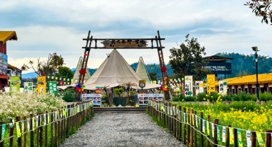 金山景区“云之木野·营地”成为景区“打卡爆款”地