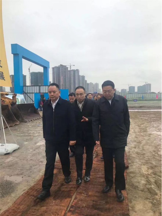 华南文旅集团董事长杨彩虎向南充市委书记宋朝华汇报项目情况