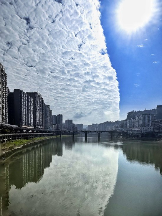 （向晓东  摄）