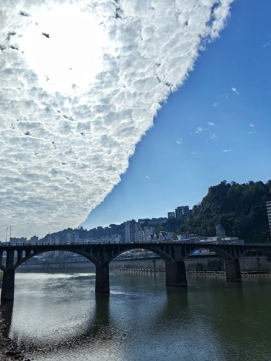 （向晓东  摄）