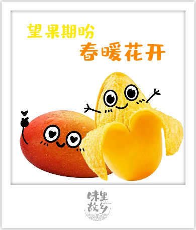 林彦俊[味里故乡]春天爱心版海南芒果