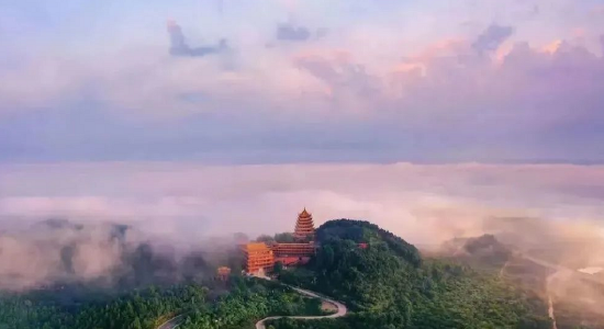 网络图