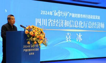 四川省经济和信息化厅总经济师袁冰致辞