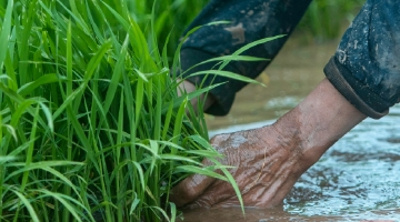 劳动最光荣！特写镜头聚焦劳动者的手