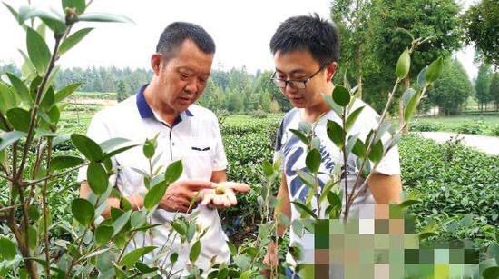 谢开强(左)与邹磊探讨油茶产业发展事宜.