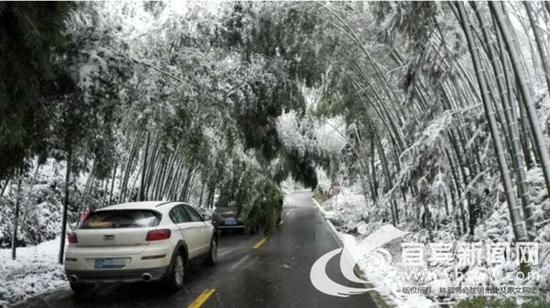 �����񺣾�����ѩ����������ͼ��