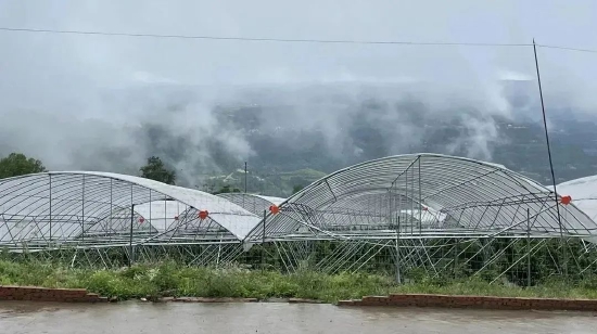  雨后，云雾中的车厘子大棚