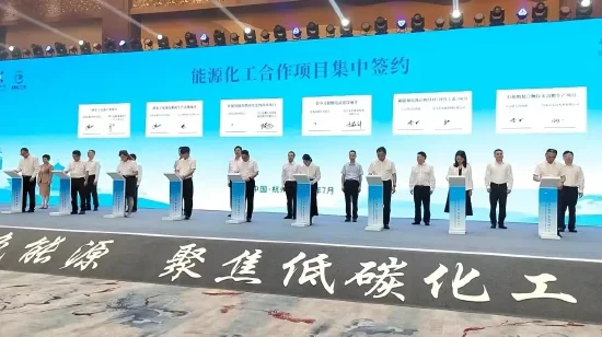 7月5日,达州在杭州举办的能源化工“双招双引”专场投资推介会。达州市经济合作和外事局供图