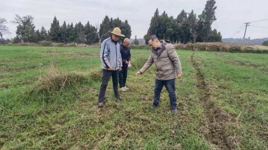 农技人员开展田间指导