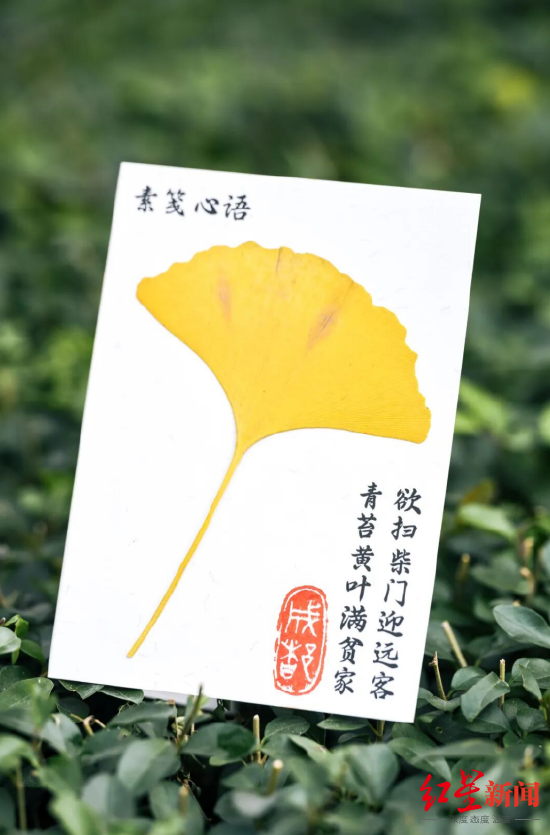 今年为报道赛事的媒体记者准备的欢迎卡