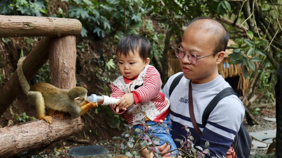 碧峰峽景區豐富游客旅游體驗 資料圖片