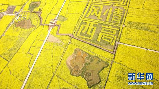 德阳·广汉高坪镇菜花公园。（四川省文化和旅游厅 供图）