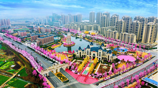 新鸥鹏文教城实景图