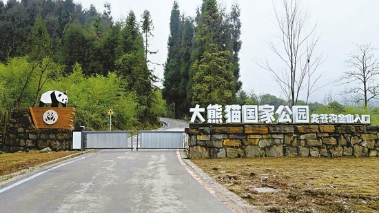 大熊猫国家公园龙苍沟金山入口。四川日报全媒体记者 卢春阳 摄