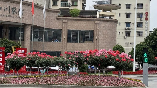 船山市政营造花团锦簇“五一”节日氛围
