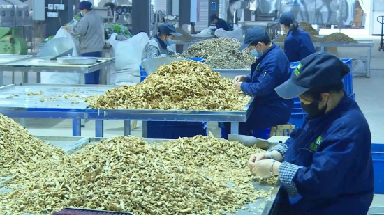 通川中医药产品生产现场