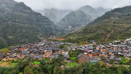 化林村 陈昊(摄)