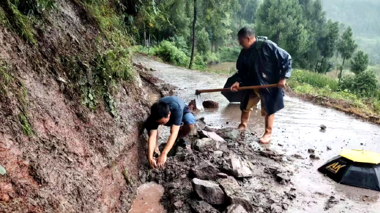 達川區堡子鎮:(黨員帶頭清理堵塞水溝)