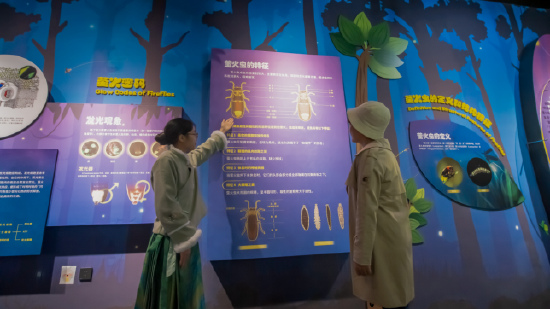 萤火虫微博物馆公益讲解服务(廖松 摄影)