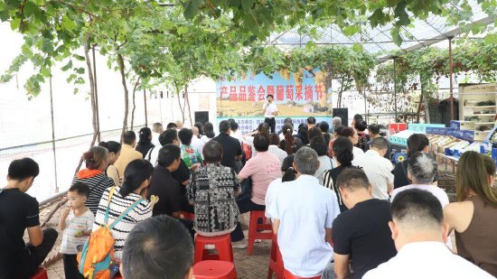 采摘节活动现场