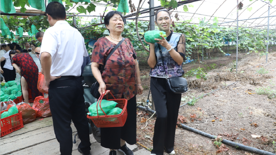 游客采摘体验感拉满