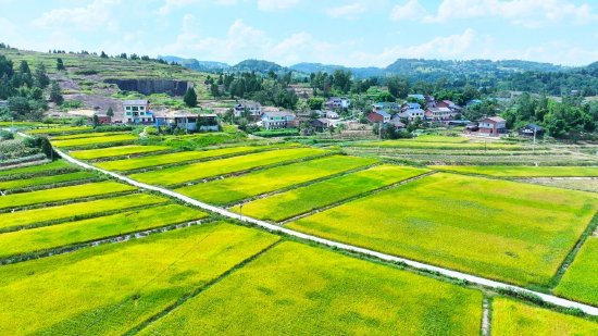 达川区罐子镇峰顶山村高标准农田