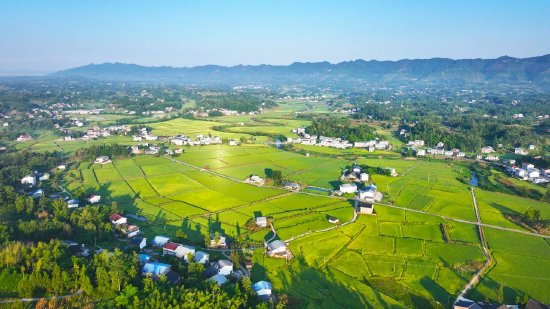 达川区粮油现代农业园区高标准农田(拍摄于万家镇迎风村)