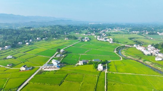 达川区粮油现代农业园区高标准农田(拍摄于万家镇迎风村)