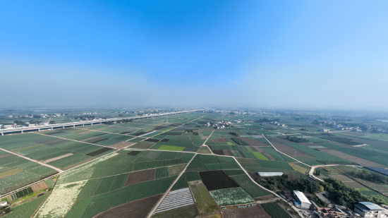 金堂县蔬菜种植基地。成都市农业农村局供图