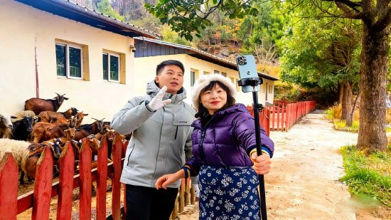 @川香秋月 团队在南江五郎黄羊养殖专业合作社直播