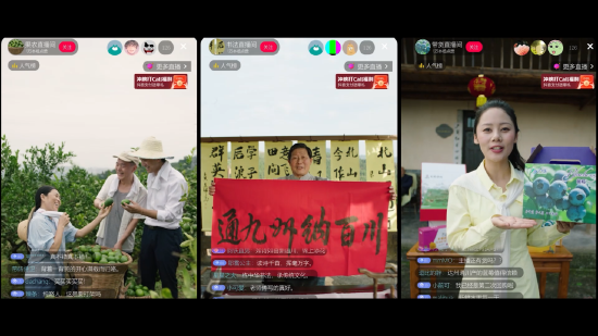 手机成了“新农具”，通川货销往全国