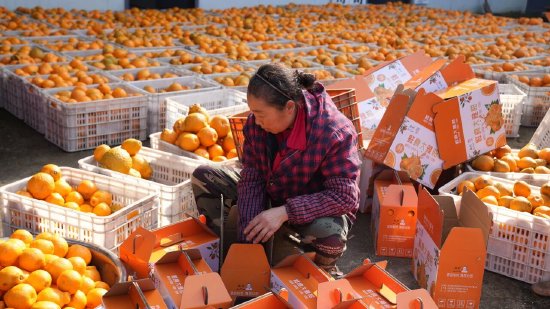 党建引领产业兴，黄金果园富乡亲！通川两河村走出集体经济强村富