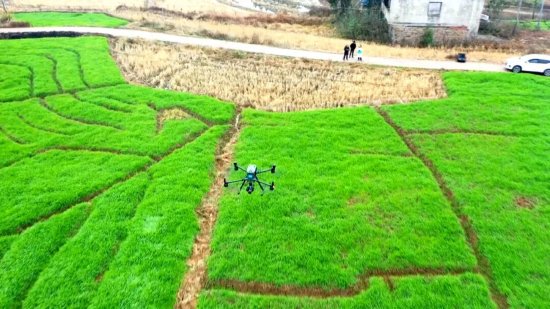 科技赋能四农普 四川渠县用“天空地一体化”摸清三农家底