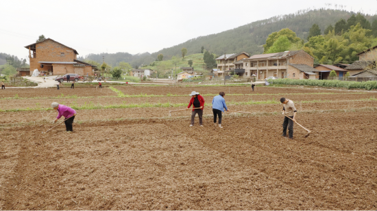  夯牢根基促丰收
