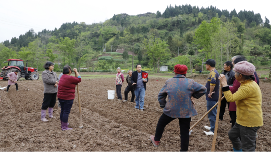 农技人员深入春耕一线进行技术指导