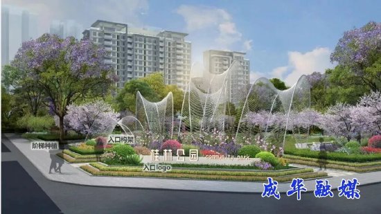 效果图