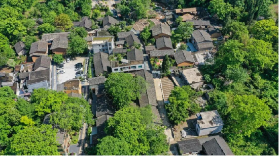 “纳具·和园”康养小镇 图/刘朝富