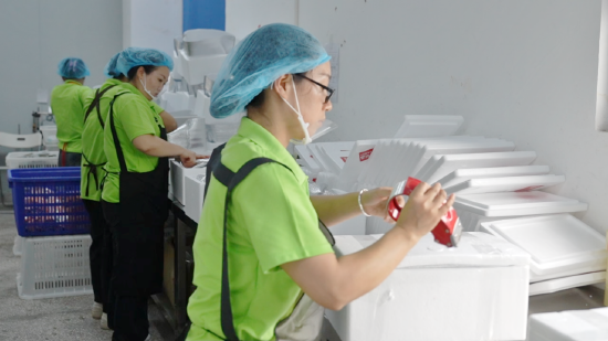 工人正有序进行苞谷粑成品装箱打包