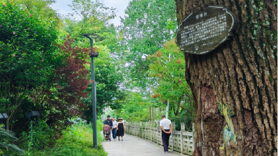 虹山湖公园环湖步道上，随处可见悠闲散步的市民。